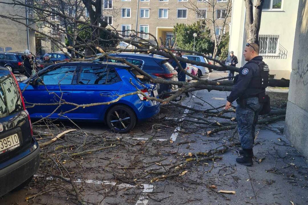 FOTO: Spadnutý strom zdemoloval zaparkované auto na Velehradskej ulici