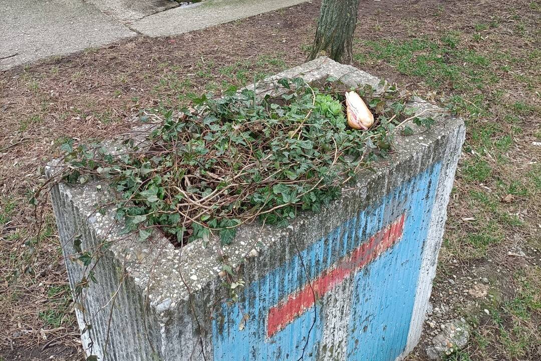 Foto: Pezinok sa baví na vyhodenej školskej desiate, nájdu sa aj takí, ktorým to nie je pochuti