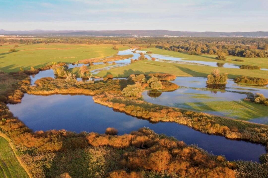 Foto: Vo vedení CHKO Záhorie vystriedal odborníka prevádzkovateľ strelnice. Hrozí vzácnym biotopom nebezpečenstvo?