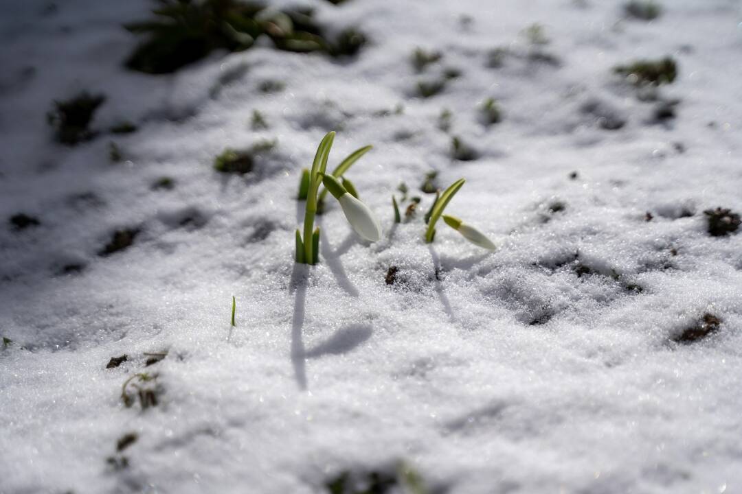 Foto: Slovensko čaká náhla zmena počasia. V niektorých oblastiach môže aj snežiť