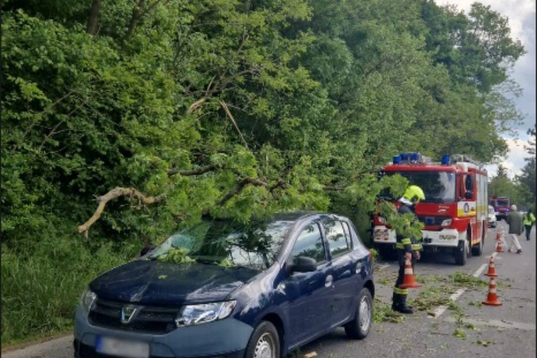 Foto: Popadané stromy na Devínskej ceste. Polícia obmedzila dopravu, dávajte si pozor