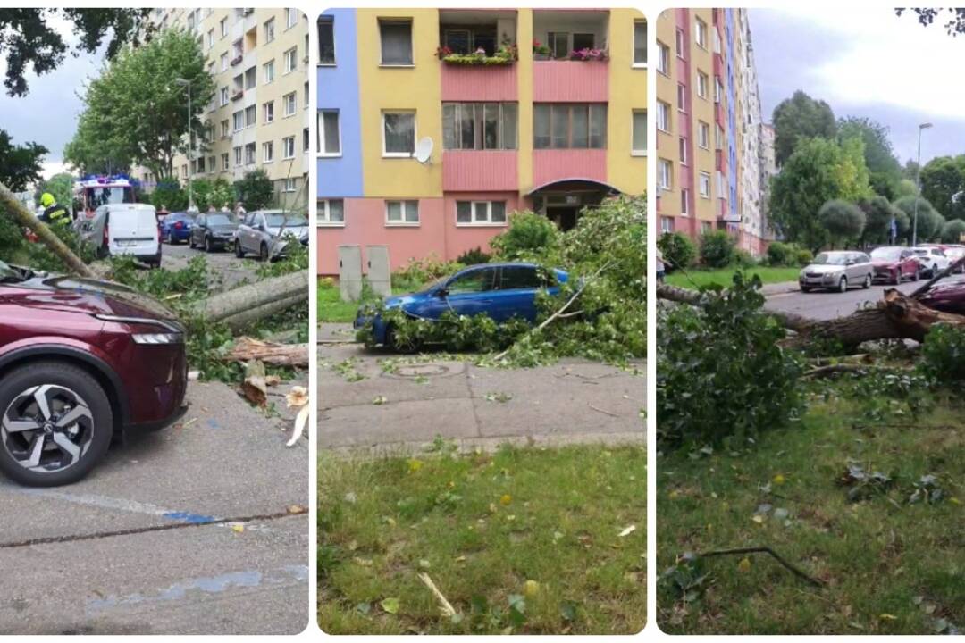 VIDEO: Búrky v Petržalke zdemolovali Andrusovovu ulicu. Po páde stromov pripomína post-apokalyptický film