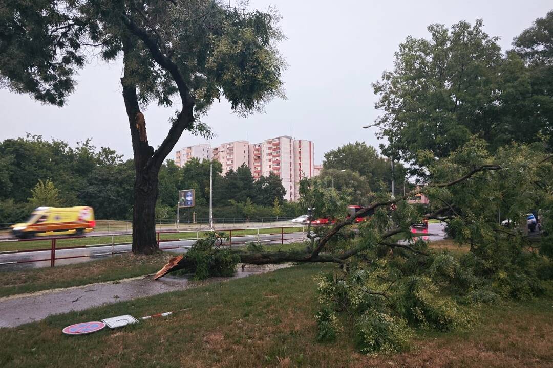 FOTO: Búrky úradovali aj v Bratislave. Na viacerých miestach padali mohutné konáre, Ružinovský podnik a hasiči zasahujú