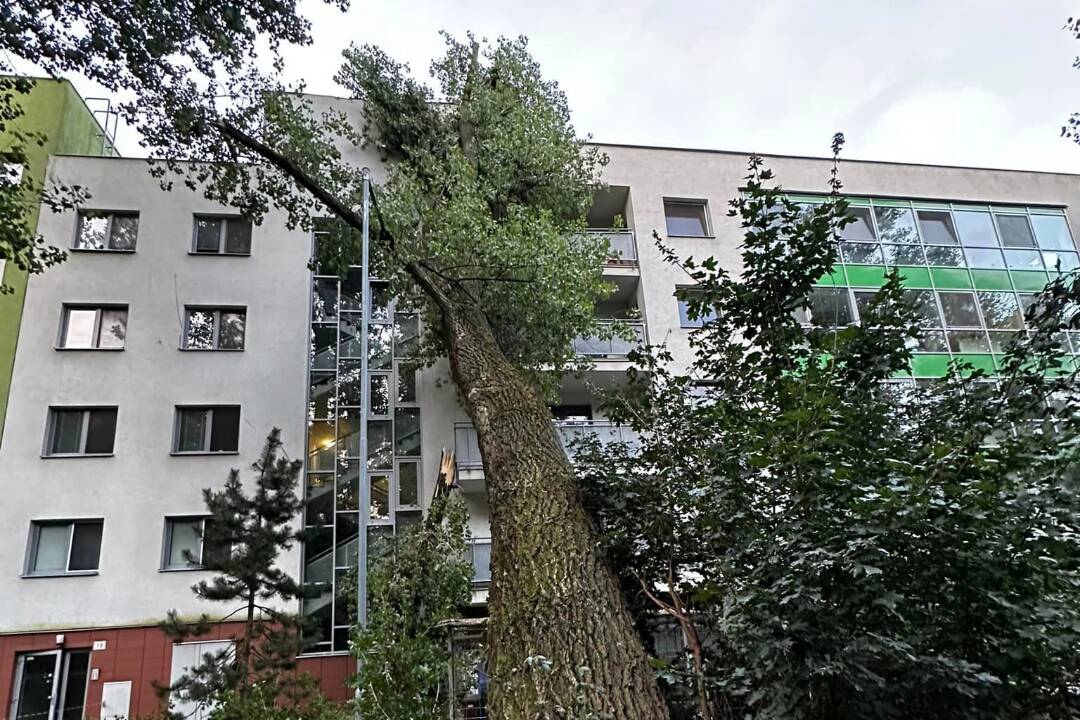 Foto: Na bytovku v Lamači spadol strom. Na mieste sú hasiči aj polícia