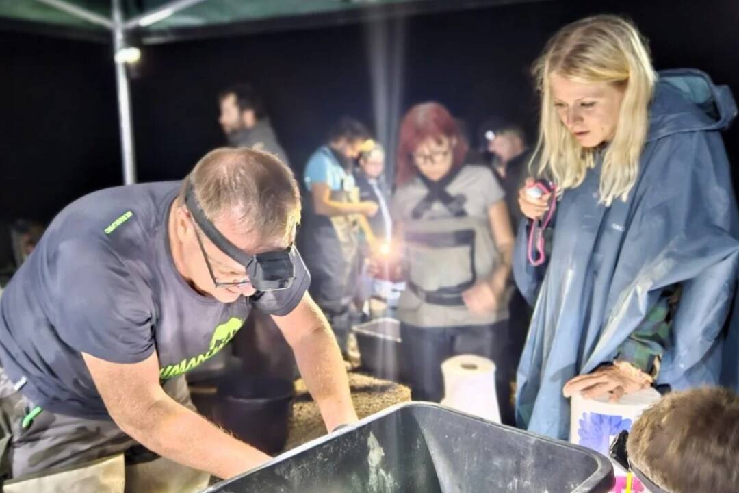 Foto: Dunaj sa stáva pre ryby neobývateľným. Česká univerzita prišla so šokujúcimi závermi