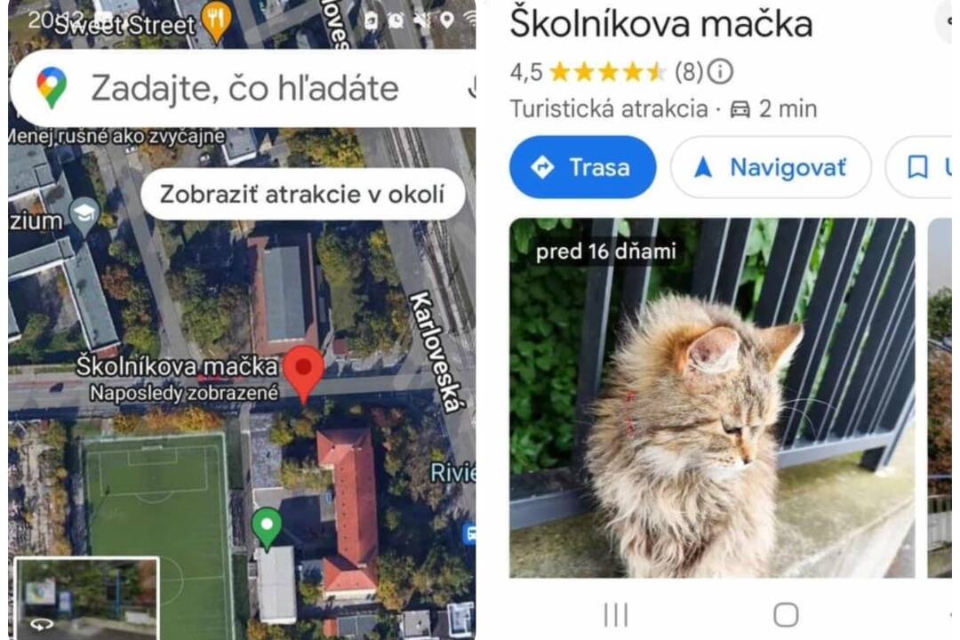 Školníkova mačka je hviezda Karlovky. Na Google Mapách má vlastnú značku, chodia ju fotiť turisti