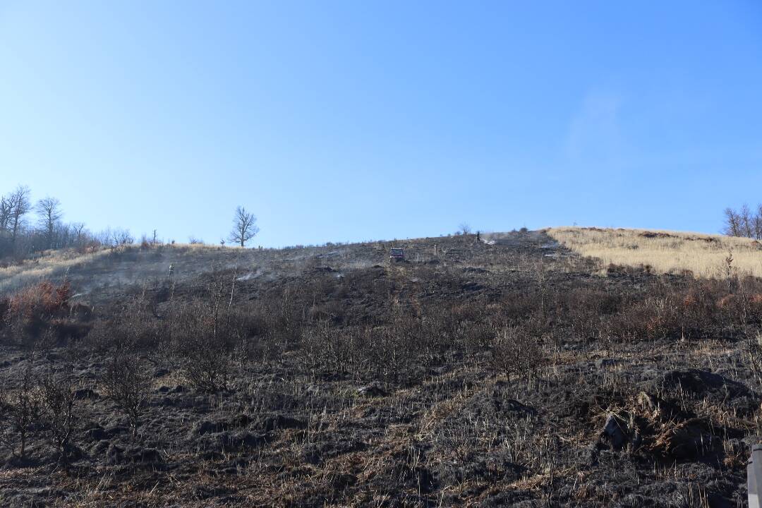 Foto: Požiar na Skalnatej. Ako vznikol oheň na ikonickom malokarpatskom kopci? Prehovorila priama svedkyňa