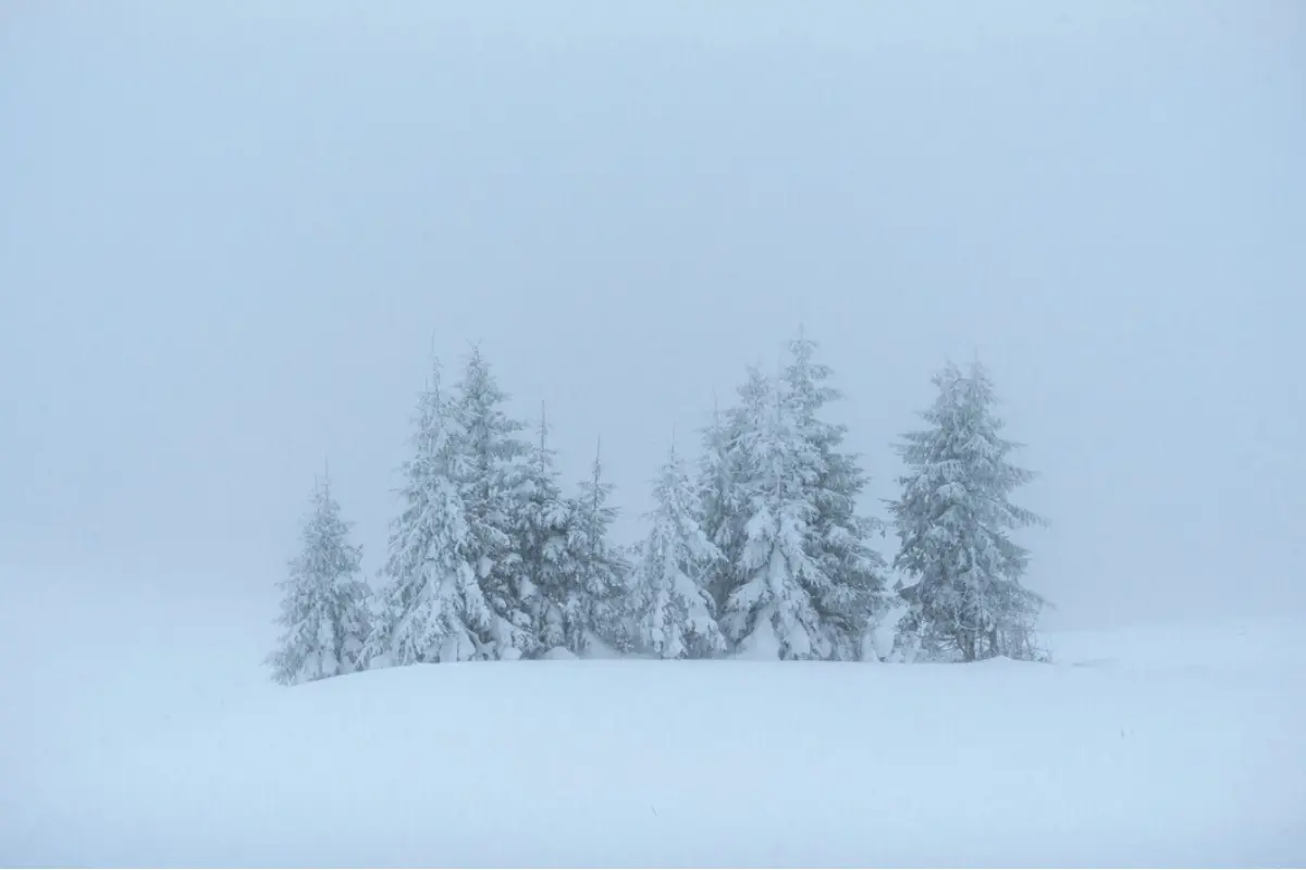 Foto: Bratislavský kraj počas Štedrého dňa potrápi silný vietor. Ako je na tom zvyšok Slovenska?