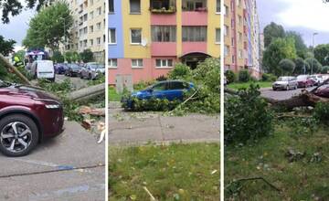 VIDEO: Búrky v Petržalke zdemolovali Andrusovovu ulicu. Po páde stromov pripomína post-apokalyptický film