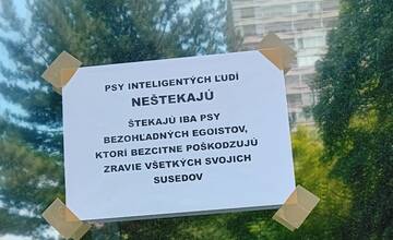 Psy inteligentných ľudí neštekajú! Petržalčania sa hádajú o tom, ako sa správajú psíčkari a ich psy 