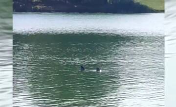 VIDEO: Záhadný úkaz na Štrkovci. Býva v jazere lochnesská príšera?