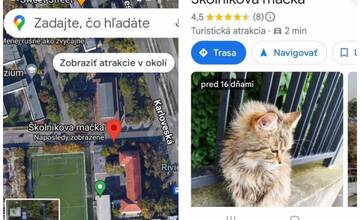 Školníkova mačka je hviezda Karlovky. Na Google Mapách má vlastnú značku, chodia ju fotiť turisti