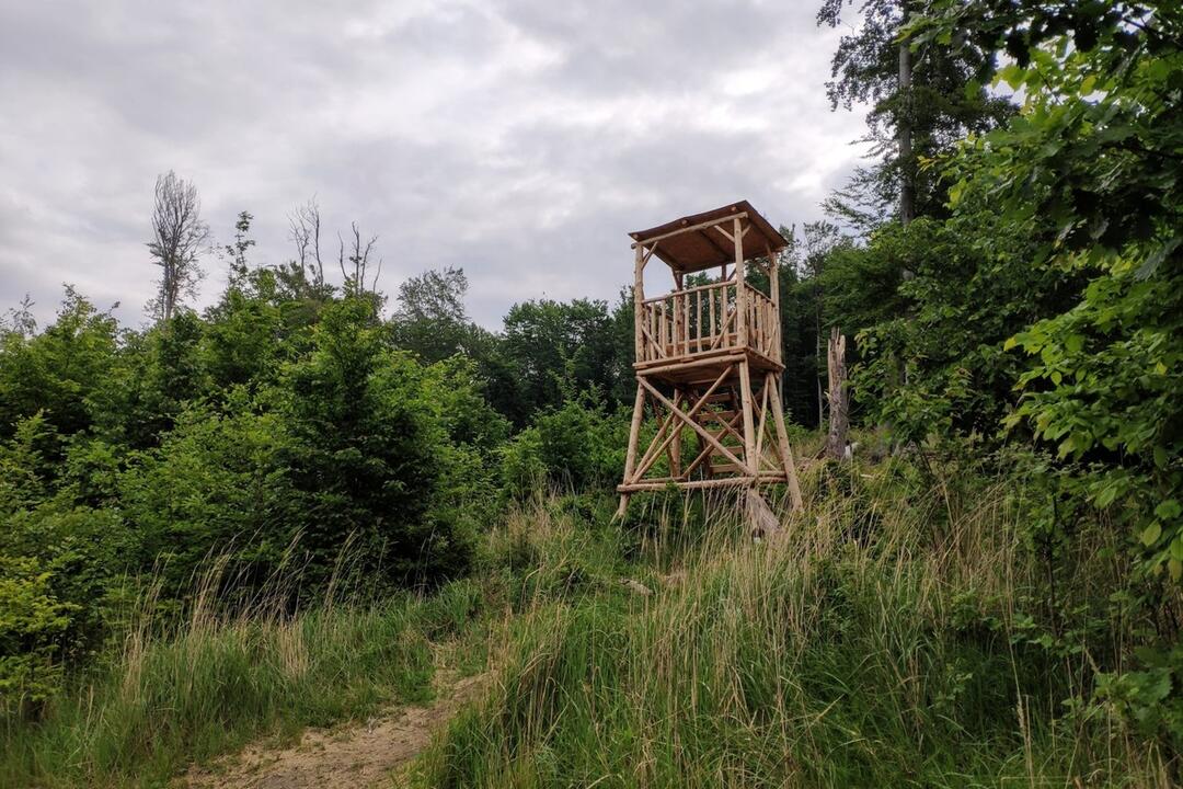 FOTO: Spravte si cez víkend túru z Koliby do Rače, je vhodná aj pre rodiny, foto 6