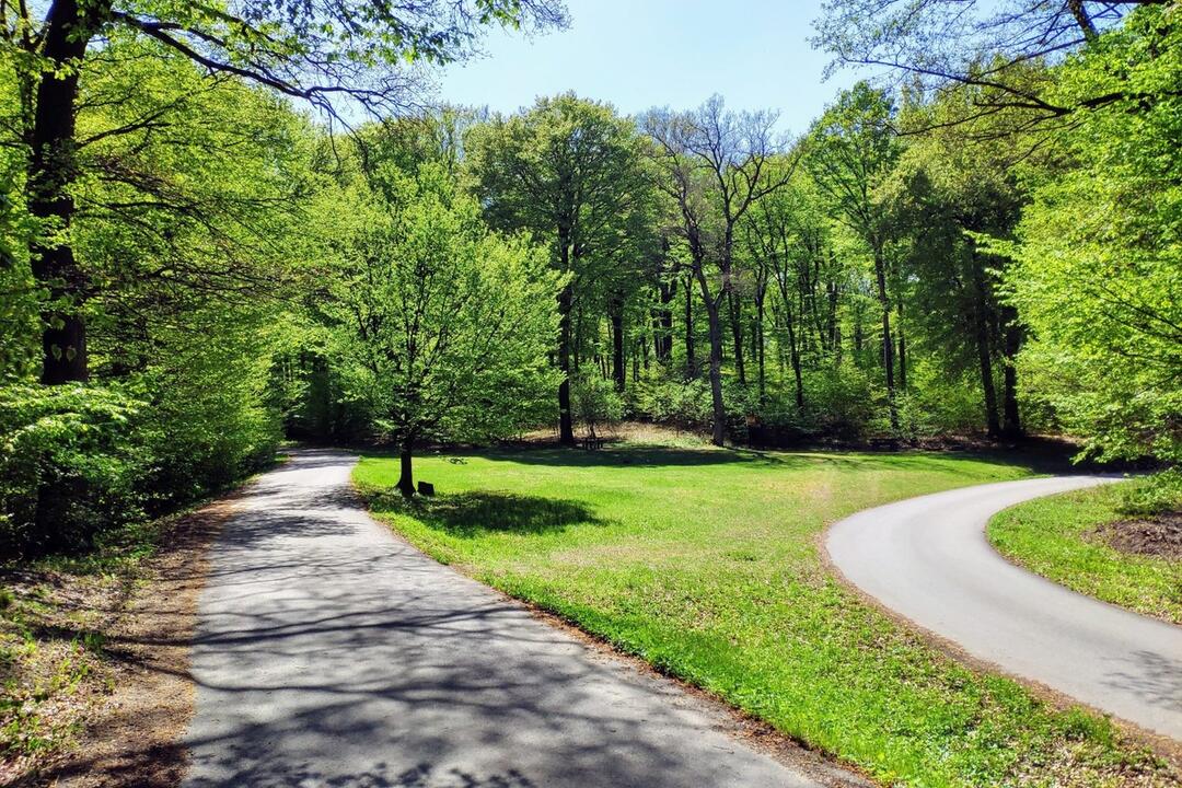 FOTO: Spravte si cez víkend túru z Koliby do Rače, je vhodná aj pre rodiny, foto 10