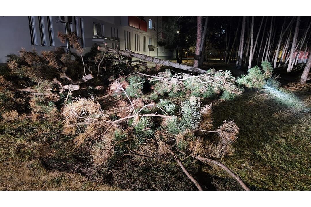 FOTO: Dobrovoľní hasiči z Rače zasahovali pri havárii vodovodu na Račianskej, foto 3