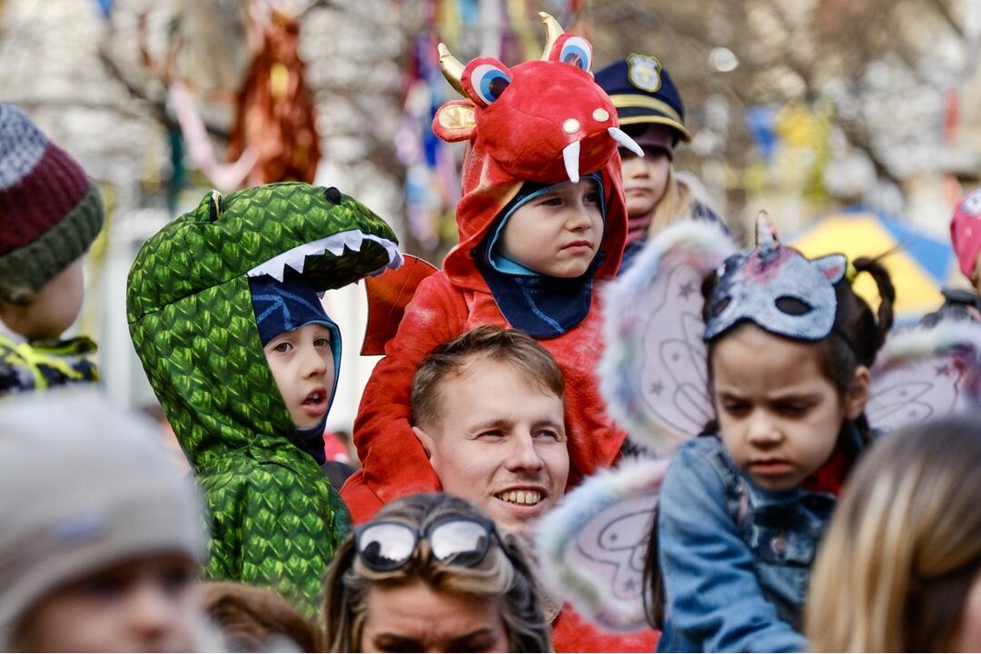 FOTO: Pozrite si, ako vyzerali Bratislavské fašiangy 2024, foto 11