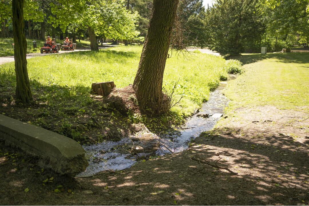 FOTO: Kaštieľsky park v Stupave sa dočká komplexnej obnovy, foto 2