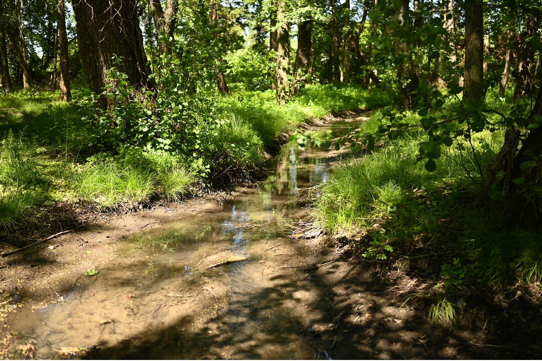 FOTO: Kaštieľsky park v Stupave sa dočká komplexnej obnovy, foto 4