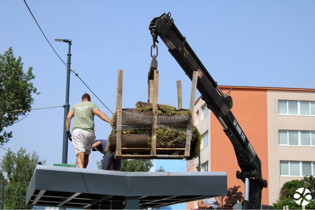 FOTO: Prvá zelená zastávka v Bratislave na Zlatých Pieskoch, foto 6