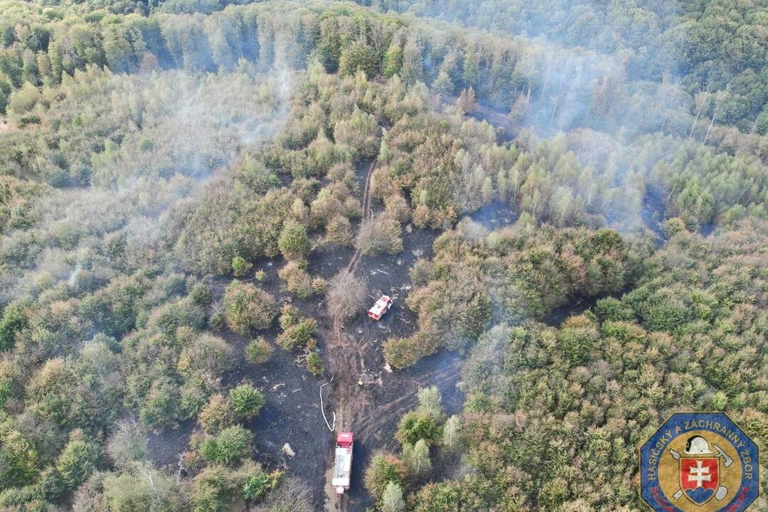 FOTO: Lesný požiar v Rači, foto 3