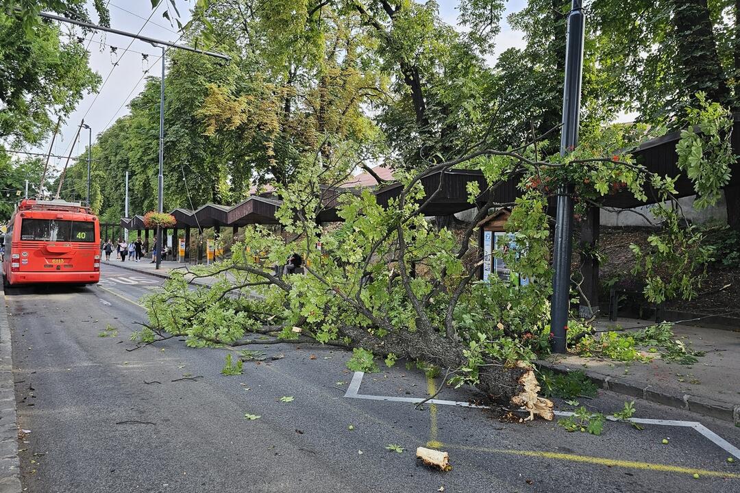 FOTO: Cez víkend budú Bratislavu bičovať búrky. Takto vyzerali zásahy hasičov a policajtov naposledy, foto 3