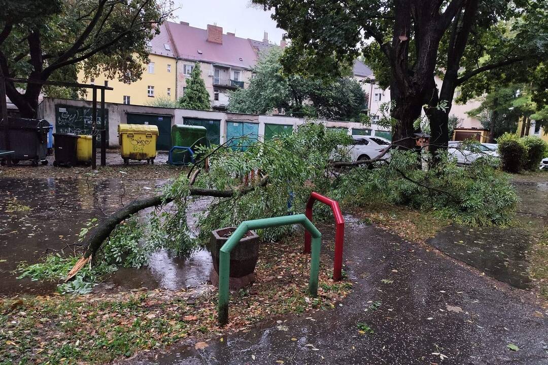 FOTO: V Bratislave v piatok vyčíňal silný vietor, foto 7