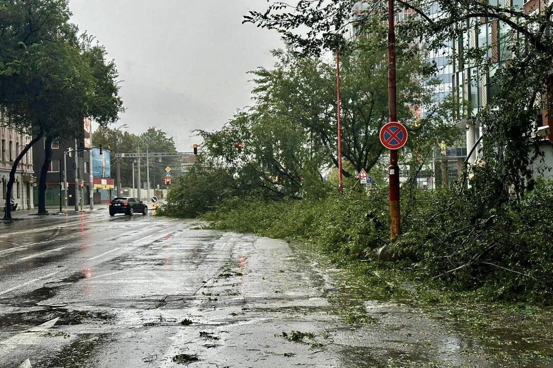 FOTO: Silný vietor v Ružinove vyvracal stromy. Mestská časť vyzerá ako z postapokalyptického filmu, foto 2