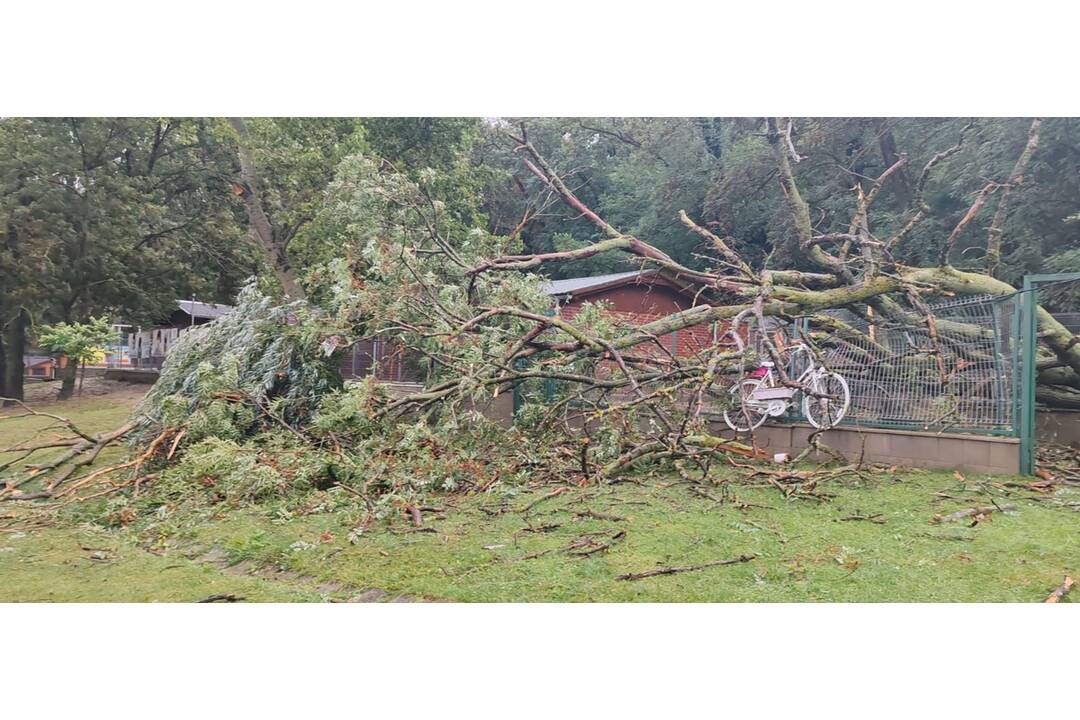 FOTO: Slobodu zvierat zaplavila voda, na výbehy spadol strom, foto 8