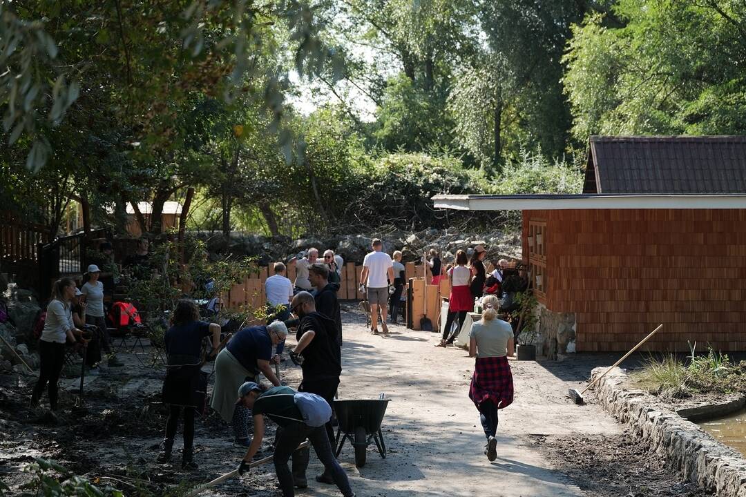 FOTO: Brigádnici upratovali bratislavskú ZOO po povodni, foto 6