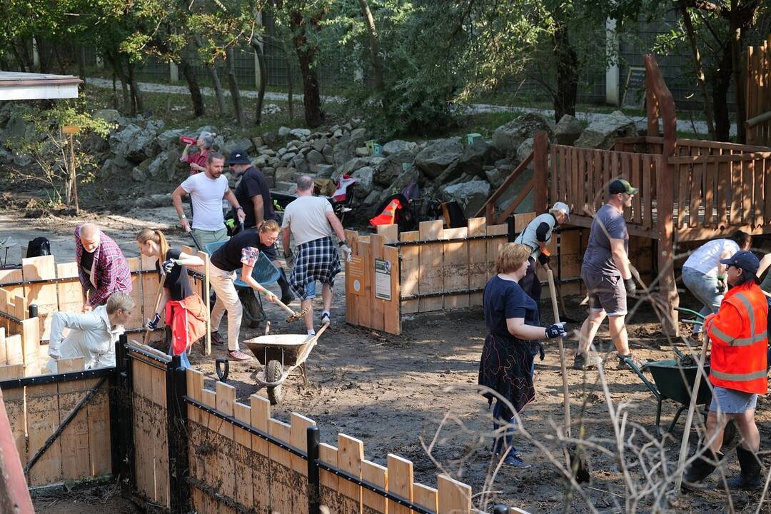 FOTO: Brigádnici upratovali bratislavskú ZOO po povodni, foto 7