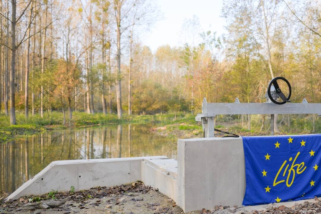 FOTO: Do obnoveného ramena na Dunaji vpúšťajú vodu stavidlom, foto 1