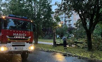 FOTO: V Ružinove úradovali búrky, odlomili množstvo konárov