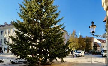 FOTO: Takto prevážali a stavali tohtoročný vianočný stromček v centre Bratislavy